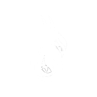 لوگو چرم هآس